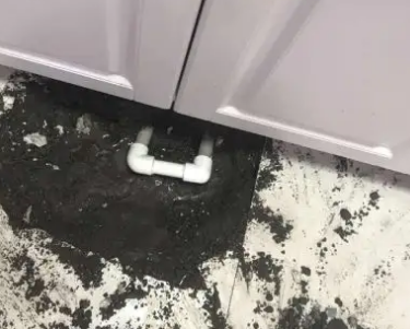 日照查漏水哪家好